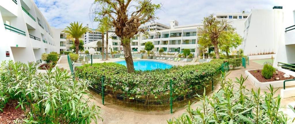 Optimist Playa De Las Americas Apartment Luaran gambar